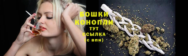 индика Гусиноозёрск