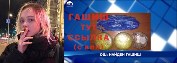 индика Гусиноозёрск