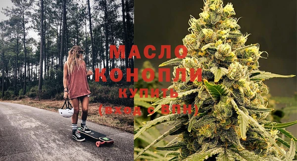 индика Гусиноозёрск