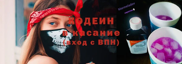 индика Гусиноозёрск