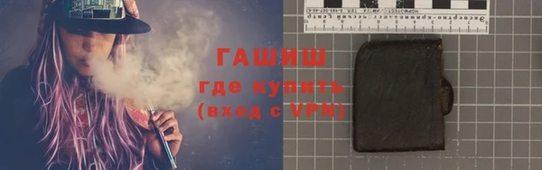 индика Гусиноозёрск