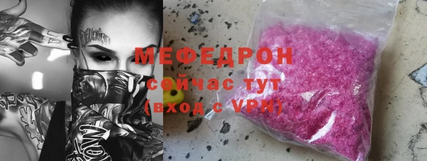 индика Гусиноозёрск