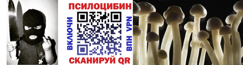 купить наркотик  Плёс  Псилоцибиновые грибы Magic Shrooms 